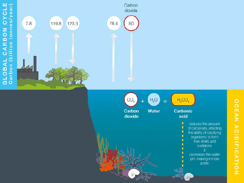 انتشار گازهای گلخانه ای - اسیدی شدن آب اقیانوس ها و تغییر الگوی جریان هوا